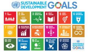 The United Nations Sustainable Development Goals (SDGs)